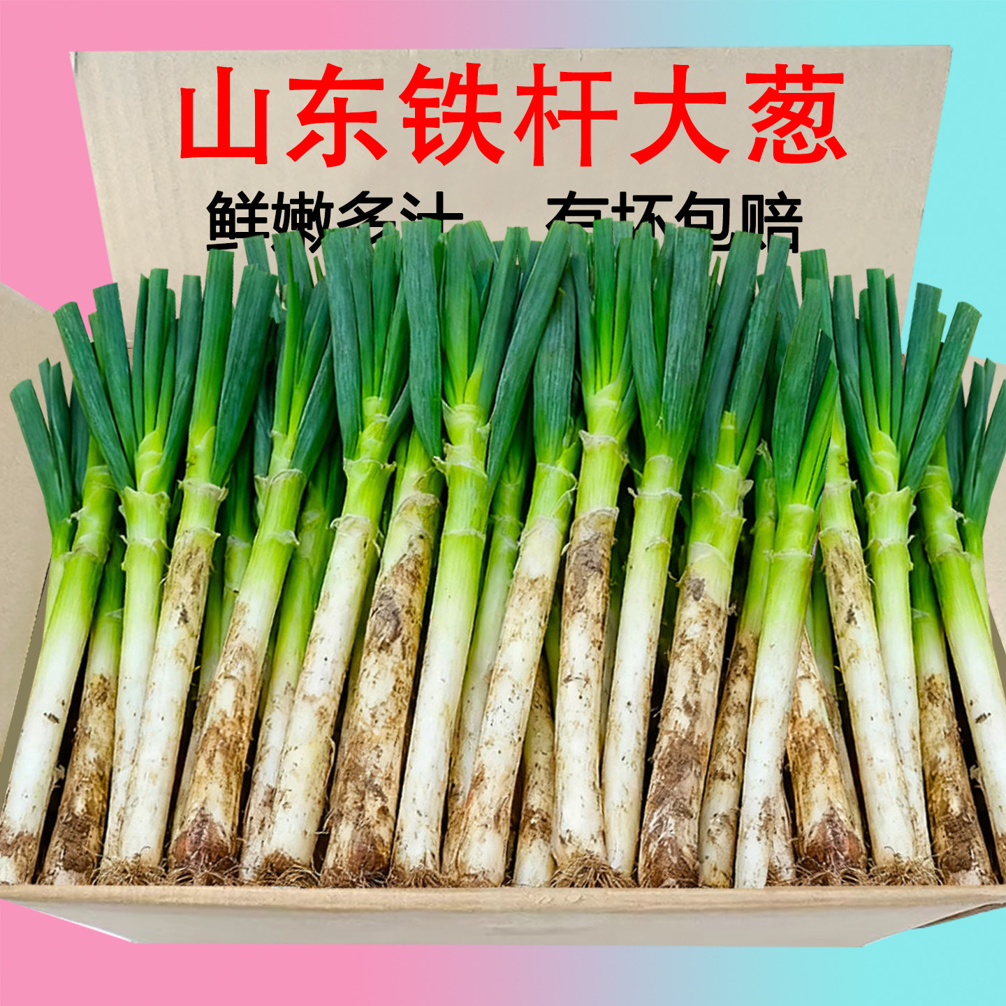山东铁杆大葱新鲜现挖长白大葱带皮耐存甜辣葱现摘农家自种鲜嫩葱