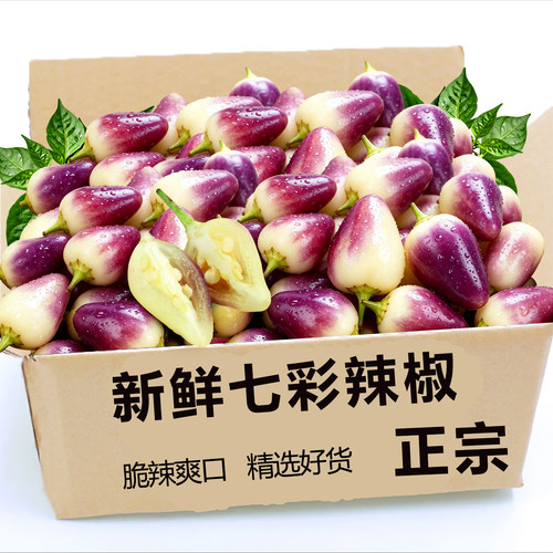 新鲜五彩椒云南七彩椒现摘整箱批发五色辣椒泡椒脆辣包邮产地直发