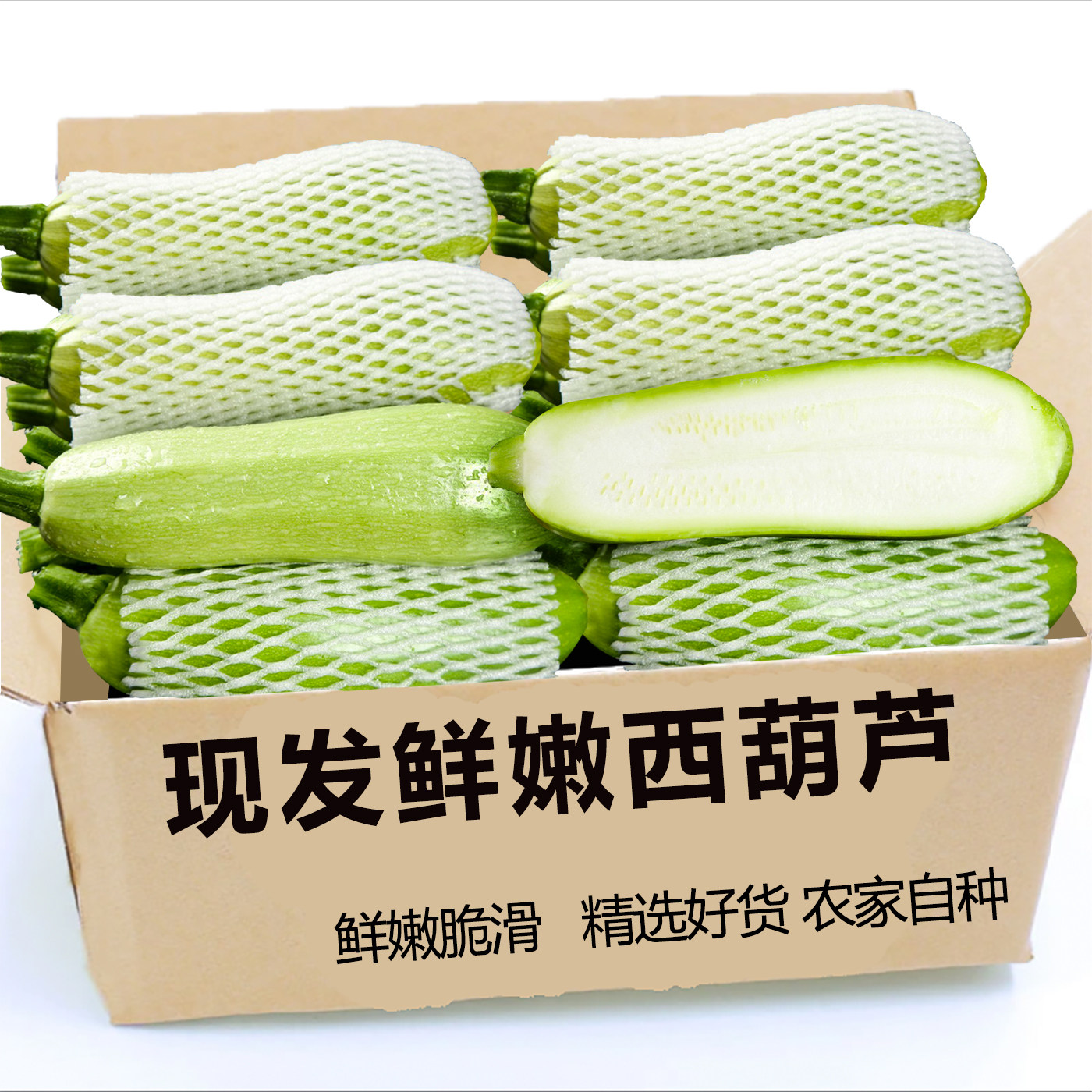 云南西葫芦小嫩瓜长形新鲜蔬菜嫩小金瓜嫩南瓜绿皮甜瓜小角瓜