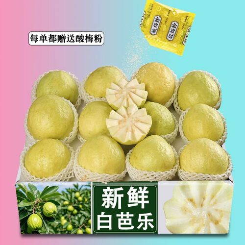 白心软糯奶油芭乐新鲜水果芭乐果清甜软番石榴水果应季新鲜果包邮