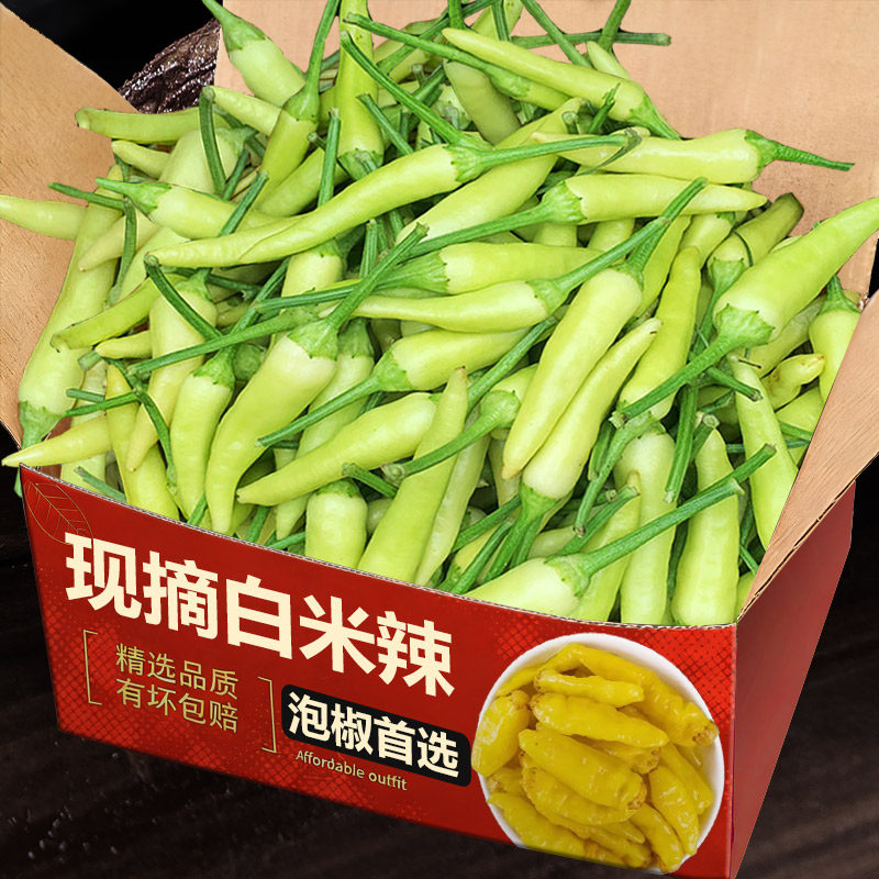 现摘白米辣小米辣椒青椒农家自种新鲜小米椒泡椒朝天椒尖椒指天椒
