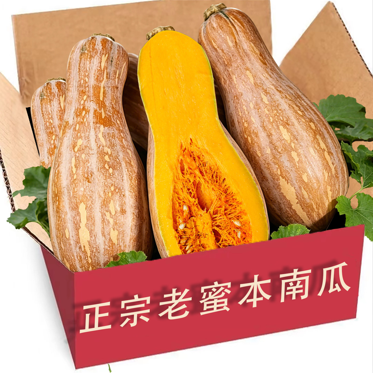 云南老南瓜新鲜蜜本南瓜软糯香甜老品种南瓜宝宝辅食农家自种蔬菜