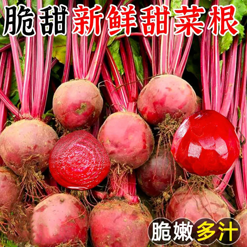 正宗甜菜根现挖甜菜头红菜头老农自种精选甜菜根应季蔬菜整箱直发