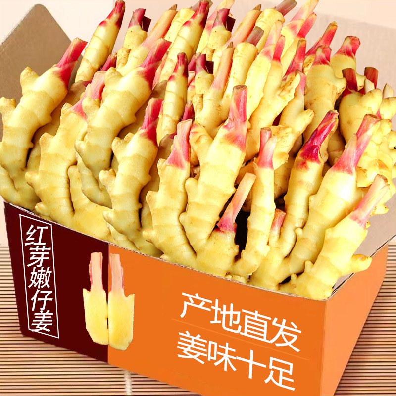 正宗山东红芽嫩姜2斤,鲜嫩脆爽