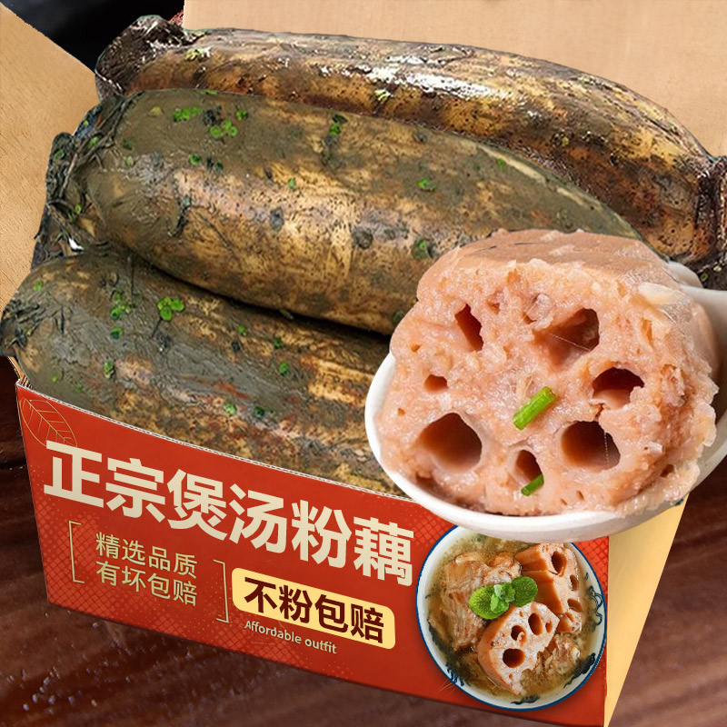 现挖洪湖粉藕新鲜煲汤莲藕1.5斤