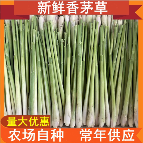 新鲜香茅冬阴功汤料香茅草奶茶店