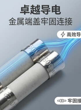 高科美芯 F快熔陶瓷保险丝 圆柱型无脚 5X20mm0.1A2A3.15A30A
