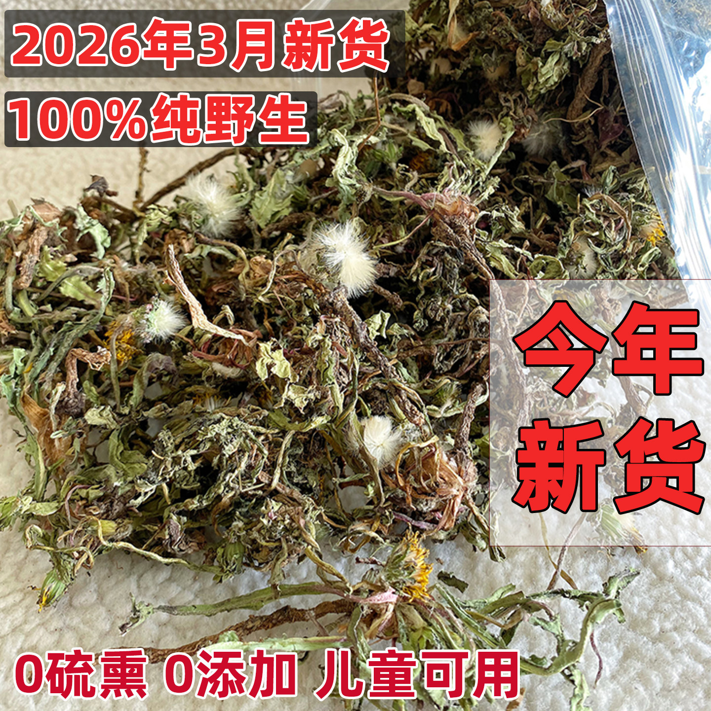 2026年新货大别山纯野生蒲公英根茶正品非特级中药材散装整株干货