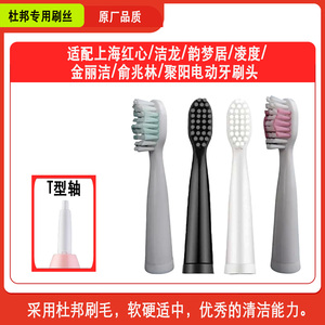 适合上海红心电动牙刷头配原装替换健齿先锋俞兆林韵梦居成人201
