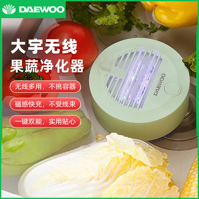 大宇无线便携式果蔬净化器全自动清洗机除菌除农残自动洗菜机QX4