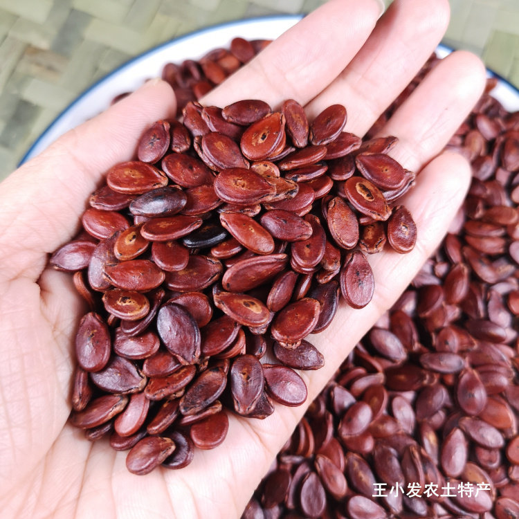 南雄特产红瓜子粤北韶关办公室零食原味炒货熟的咸味西瓜子500g - 实物图