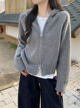 欧货独特洋气宽松毛衣开衫秋冬高级感双拉链连帽针织衫上衣女外套