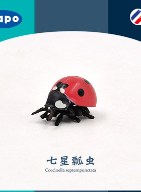 法国PAPO七星瓢虫50257仿真野生动物昆虫爬虫子模型玩具礼物新款