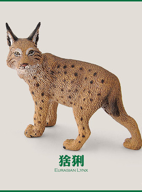 英国CollectA我你他88565猞猁 山猫仿真野生动物北欧模型玩具认知
