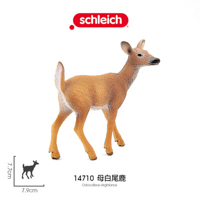 仿真模型玩具礼品野生动物