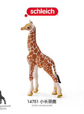 思乐Schleich 小长颈鹿14751幼崽仔野生动物模型儿童仿真长脖玩具