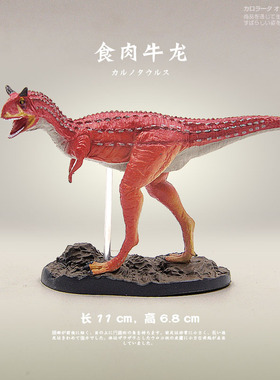日本Colorata原装正品 侏罗纪博物馆恐龙玩具食肉牛龙儿童收藏礼