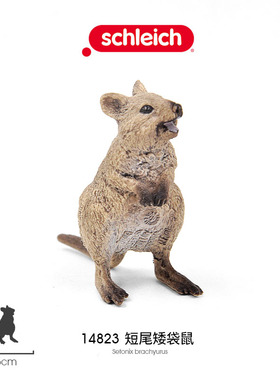 德国思S 短尾矮袋鼠14823 仿真野生森林动物模型快乐玩具摆件礼品