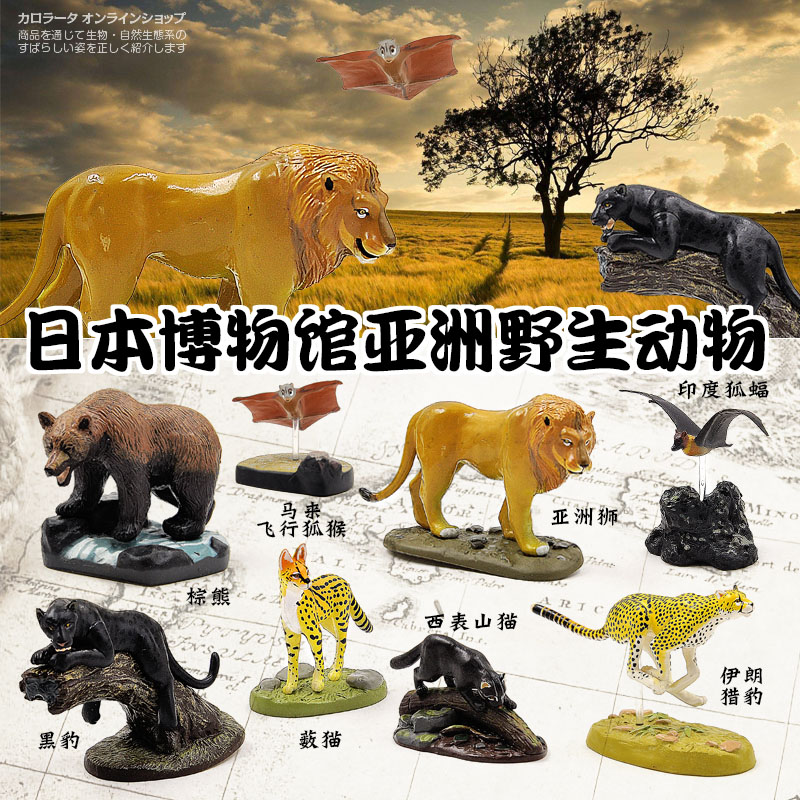 原装正品亚洲狮子猎豹野生动物