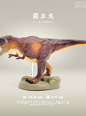 日本Colorata原装正品 侏罗纪博物馆恐龙玩具霸王龙雷克斯暴龙