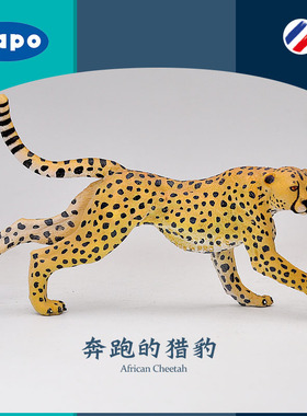 法国PAPO 奔跑的猎豹50238正品仿真非洲野生动物模型玩具金钱豹
