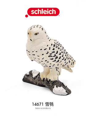德国思S 雪鸮14671 猫头鹰猛禽仿真鸟类动物正品模型儿童快乐玩具