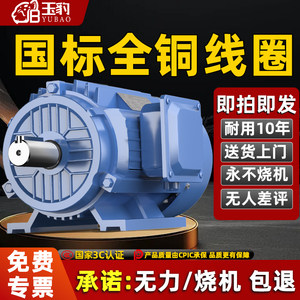 【耐用10年】全铜三相异步电动机