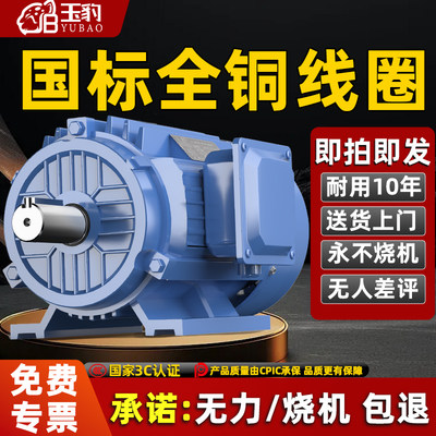 【耐用10年】全铜三相异步电动机