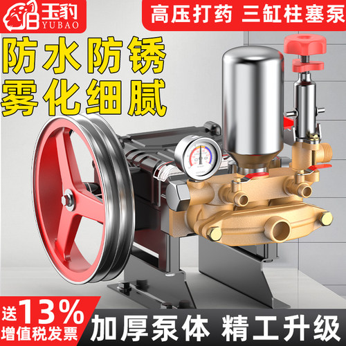 三缸柱塞泵打药机喷雾器高压农用园林果树小型家用电动喷洒农药泵