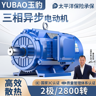 三相异步电动机 2极0.75/1.5/2.2/3/4/5.5/7.5KW高速国标380V电机