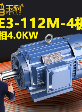 112M-4极全新YE3系列三相异步电动机国标4KW电机380V三相全铜