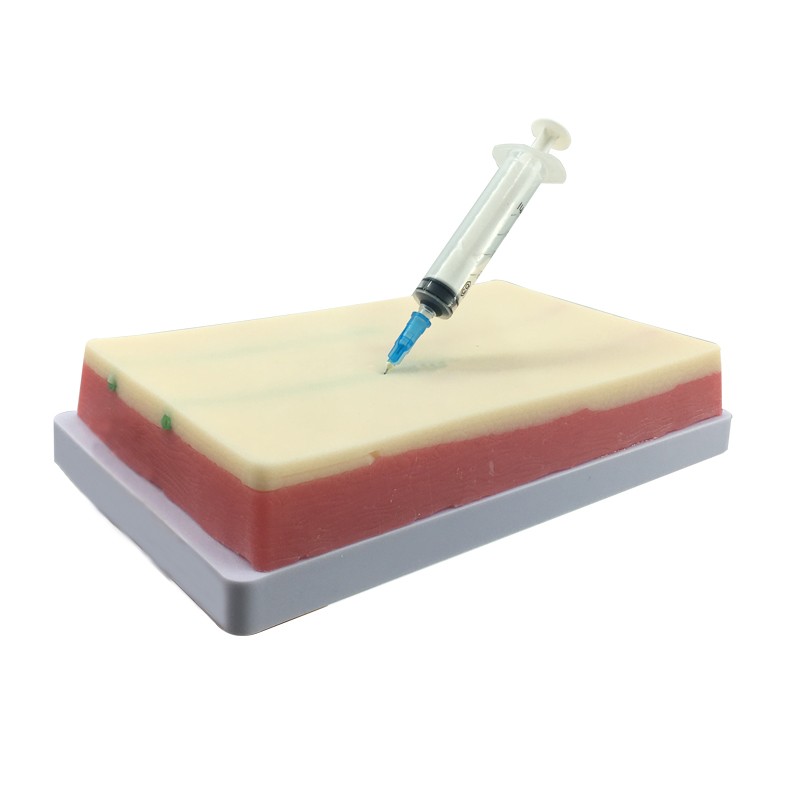 泰贵医学TG/HS14F静脉注射模块皮肤穿刺肌肉注射卫校教学训练模型