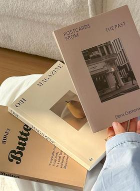 北欧简约ins假书彷真书装饰品摆件书柜书房样板房书本桌面装饰书