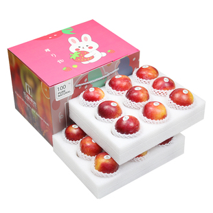 礼盒装4/8斤智利进口珠宝李太阳李新鲜水果恐龙蛋红布林红脆李子