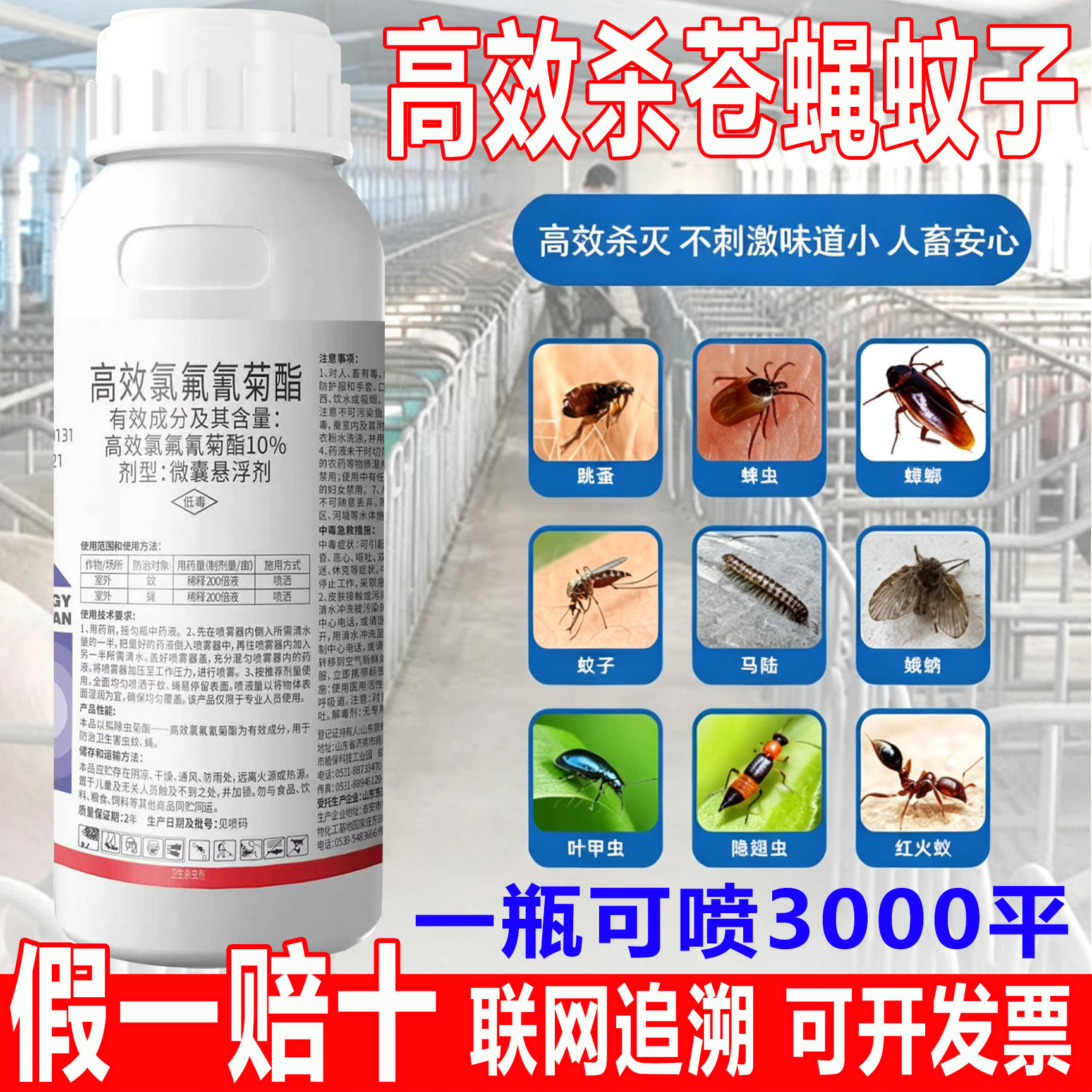 10%高含量苍蝇蚊子大面积杀虫剂
