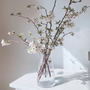 龙柳鲜枝泡水开真花水养植物花枝插花瓶干树枝柳枝干花包遇水开花