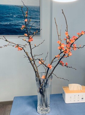 海棠花鲜枝泡水开真花水养植物花枝插花瓶红瑞木干枝花包遇水开花