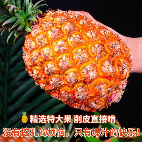 海南金钻17号凤梨香水凤梨应当季水果新鲜现摘包邮海南凤梨不涩嘴