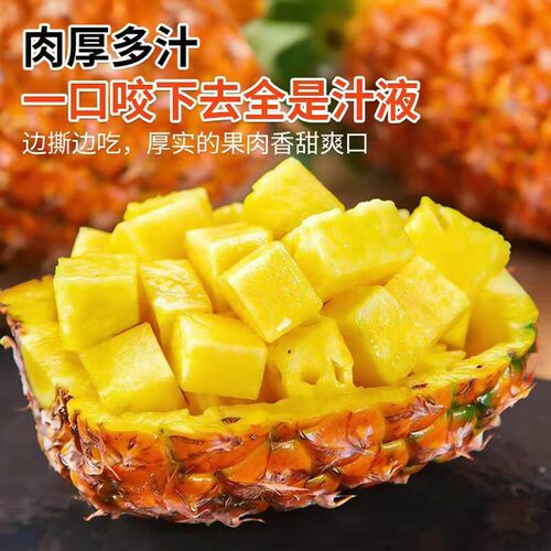 海南金钻17号香水凤梨当季现摘