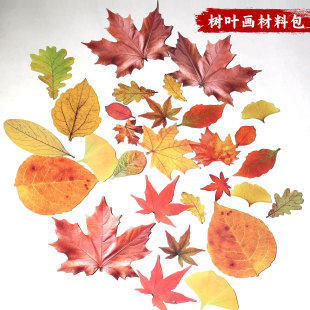 树叶形状卡纸制作绘画涂鸦彩绘幼儿园手工制作填色模具加厚白卡