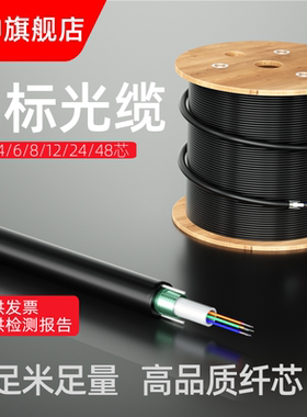 奕绅 GYXTW 光缆4/6/8/12芯光缆线四芯八芯单模光纤室外铠装千兆线缆自承式埋地光缆
