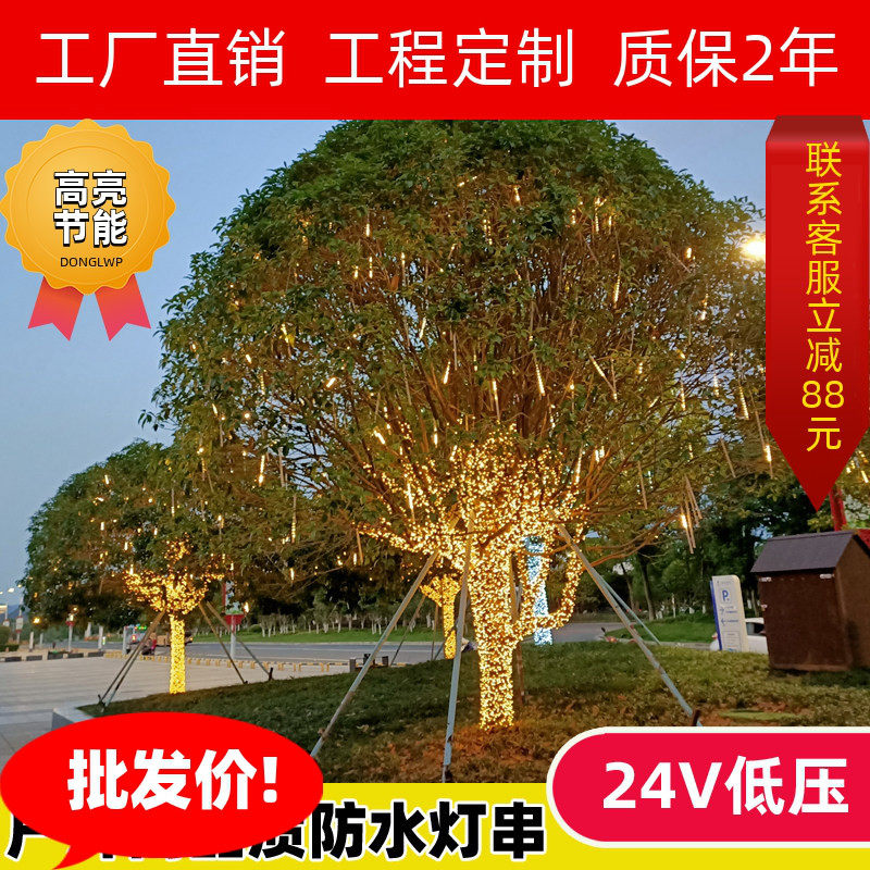 24v插电彩灯闪灯串灯满天星阳台婚庆装饰灯户外防水氛围灯挂灯