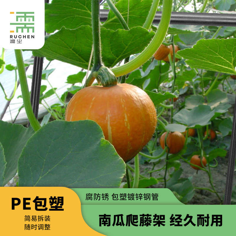 种菜支架花盆园艺葡萄架子室外盆栽庭院支撑柱户外攀爬架南瓜架子图片