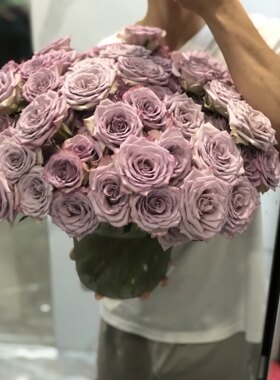 新品往事干杯 直立性好花瓣厚实阳台庭院盆栽地栽小苗带土发货