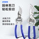 剪枝果树修枝剪刀园艺园林修花枝剪家用强力神器花剪剪枝花卉剪刀