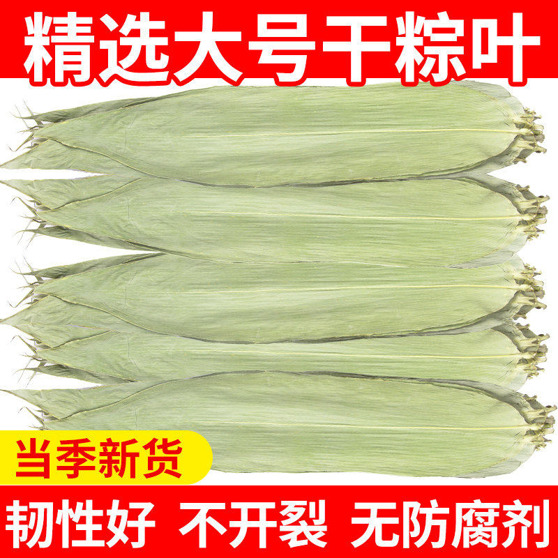 新鲜干粽叶大粽叶端午节