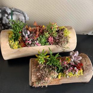 长方形大口径多肉花盆景观造景枯木树桩阳台创意高端透气木槽花箱
