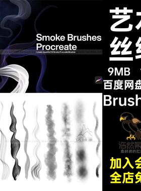 10款创意线条绘procreate烟雾素材特效纱笔刷艺术飘带Brushset