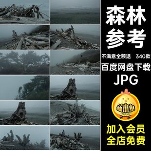 阴森迷雾森林荒凉合成参考后期海边海边意境恐怖海边岛屿后期JPG