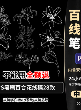 photoshop笔刷ps笔刷花卉植物线稿百合花鲜花朵图案手绘插画练习